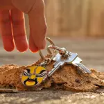 Chiavi perse o rubate? Cosa fare in questi casi